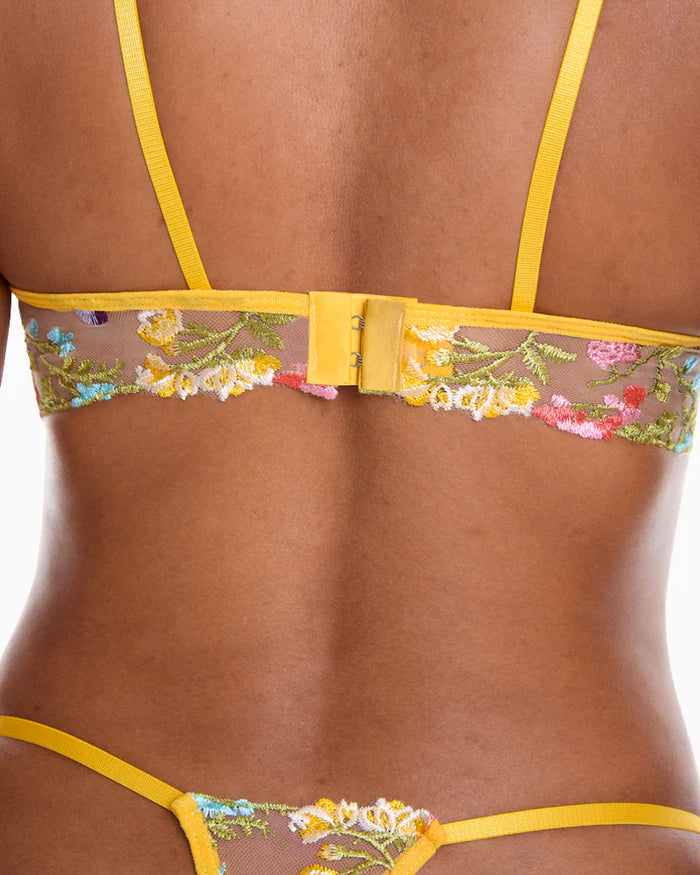 Conjunto Lilly's Spring